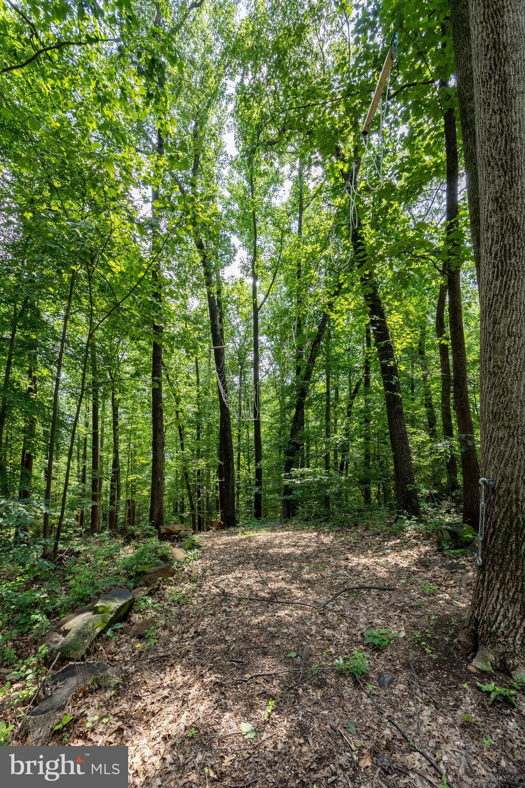 2488 Sanatoga Road Pottstown, PA 19464 - Photo 82 of 92 a view of outdoor space and green space