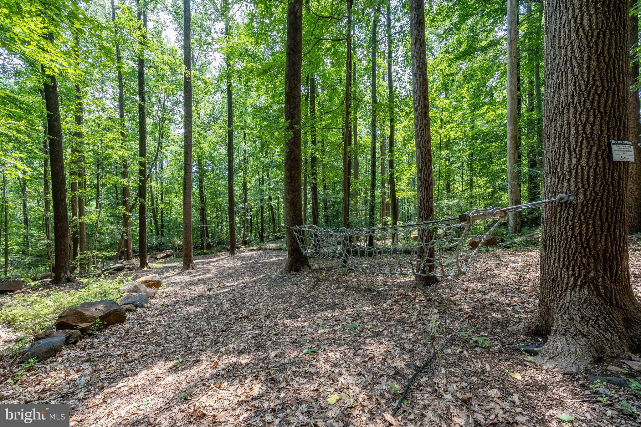 2488 Sanatoga Road Pottstown, PA 19464 - Photo 83 of 92 a view of outdoor space with lots of trees