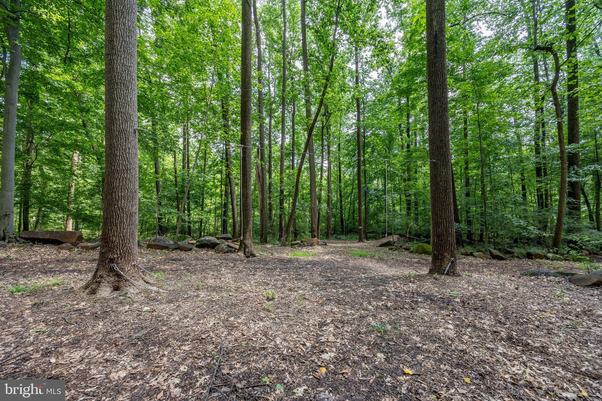 2488 Sanatoga Road Pottstown, PA 19464 - Photo 84 of 92 a view of a forest with trees in the background