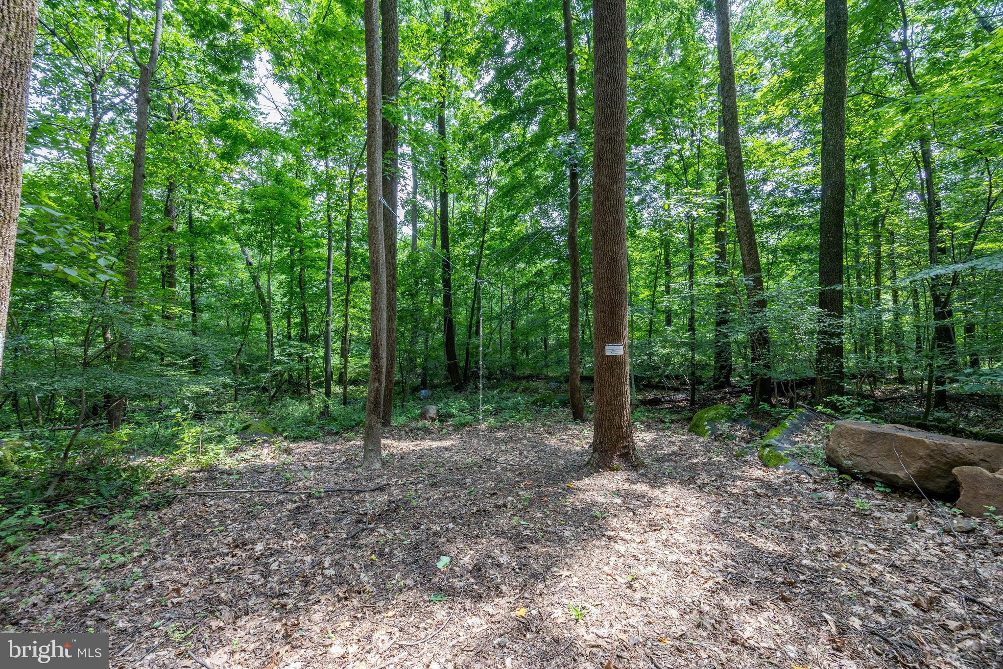 2488 Sanatoga Road Pottstown, PA 19464 - Photo 85 of 92 a view of outdoor space and green space