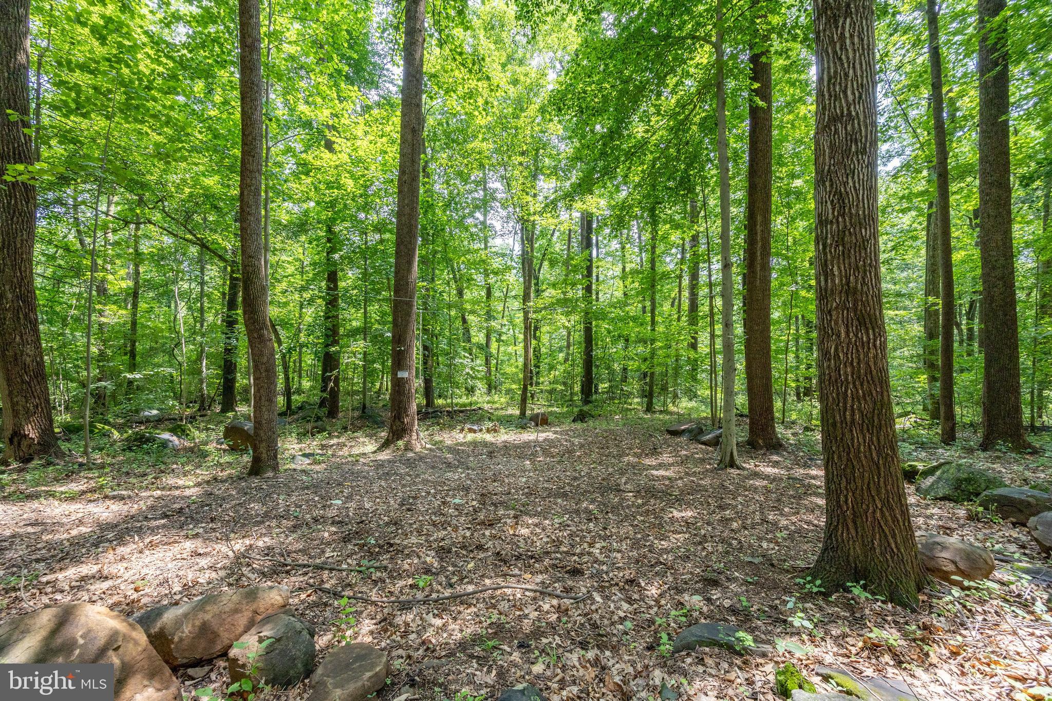 2488 Sanatoga Road Pottstown, PA 19464 - Photo 87 of 92 a view of outdoor space and green space