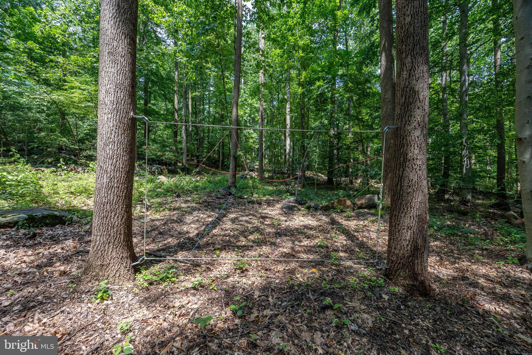 2488 Sanatoga Road Pottstown, PA 19464 - Photo 88 of 92 a view of a forest with trees