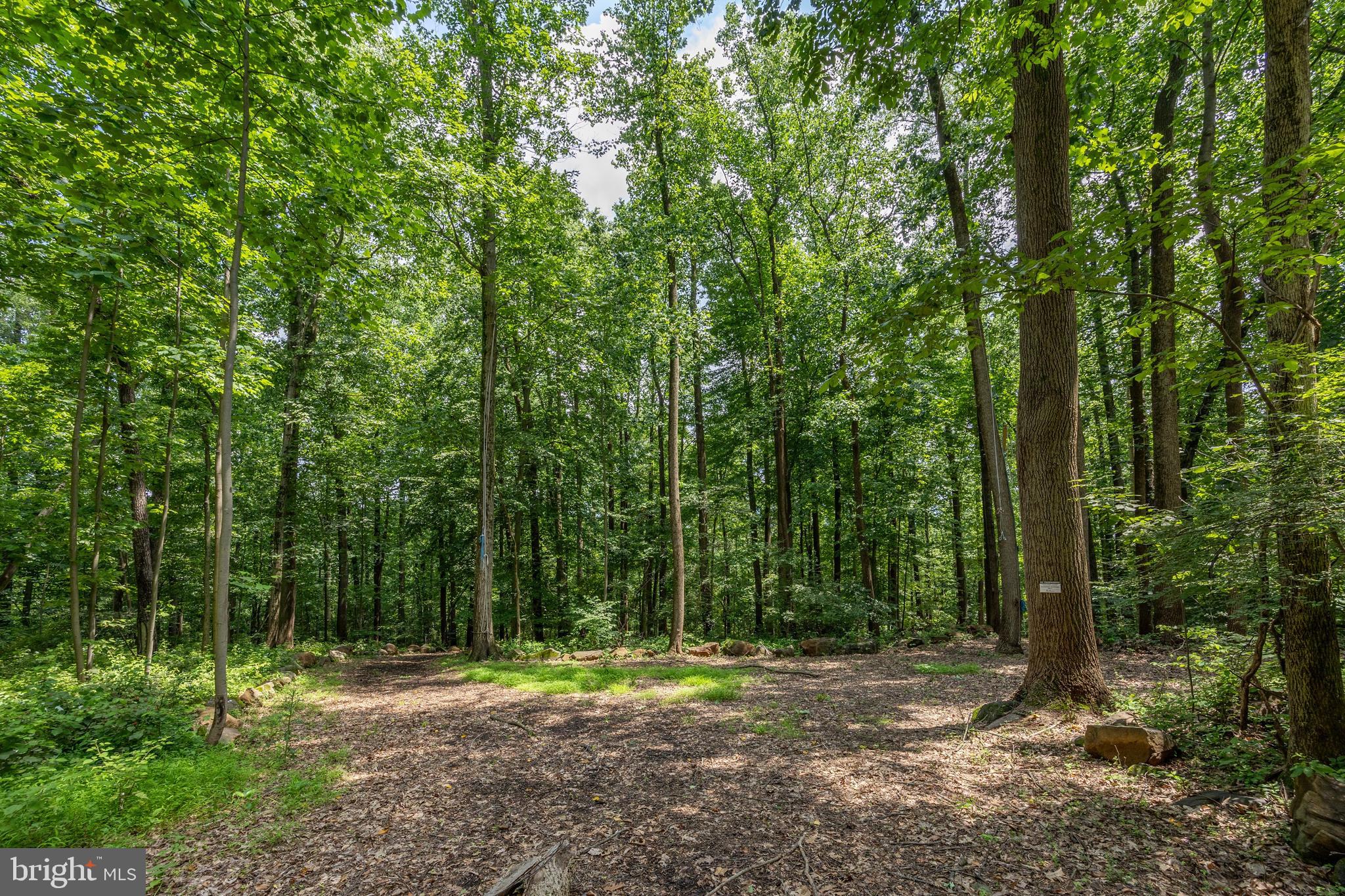 2488 Sanatoga Road Pottstown, PA 19464 - Photo 89 of 92 a backyard of a house with lots of green space