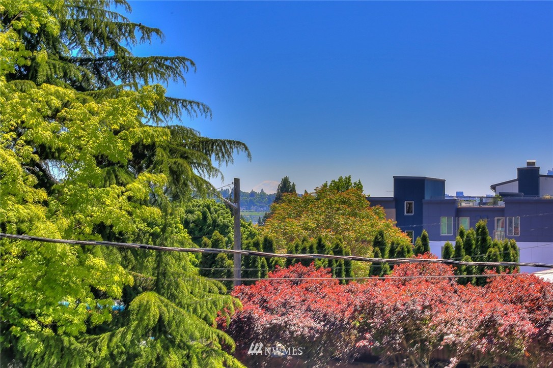 3912 Midvale Avenue North, Unit 301 Seattle, WA 98103 - Photo 25 of 25