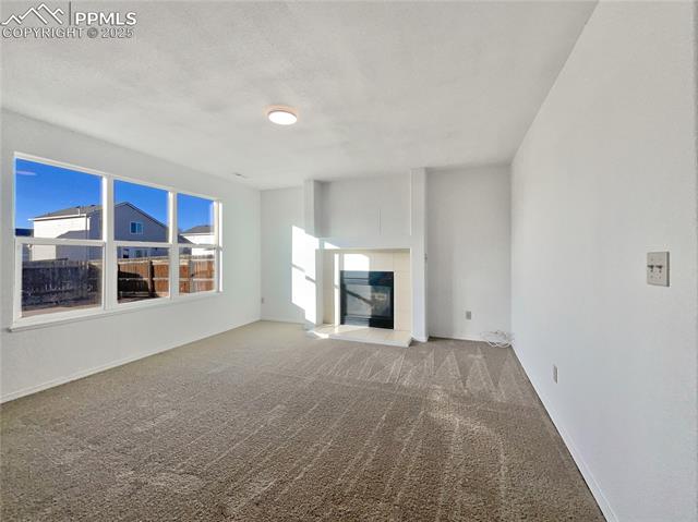 11288 Berry Farm Road Fountain, CO 80817 - Photo 10 of 22 Gallery Image 10