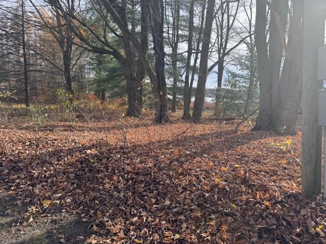 488 Autumn Road Cadillac, MI 49601 - Photo 25 of 34