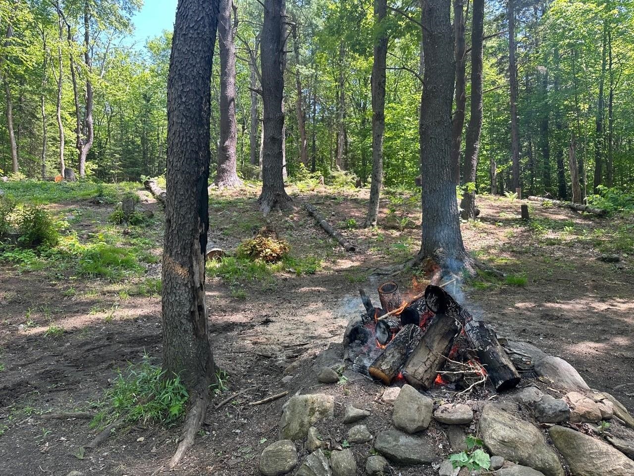 232 Deer Hill Road Whitingham, VT 05361 - Photo 1 of 14