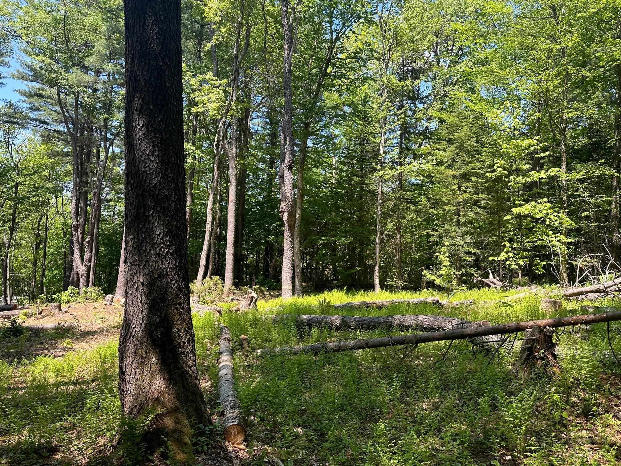 232 Deer Hill Road Whitingham, VT 05361 - Photo 8 of 14