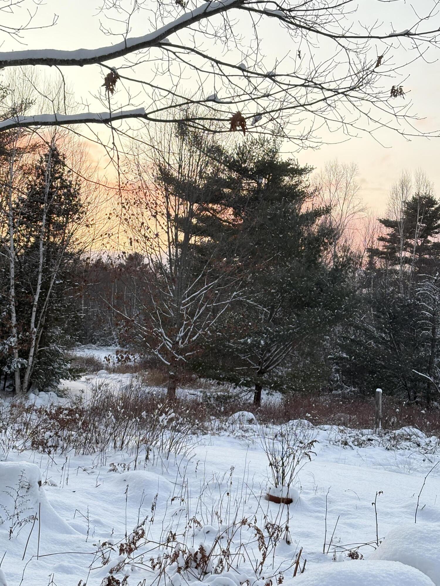 88 Rutland Road Troy, ME 04987 - Photo 51 of 55 IMG_4299