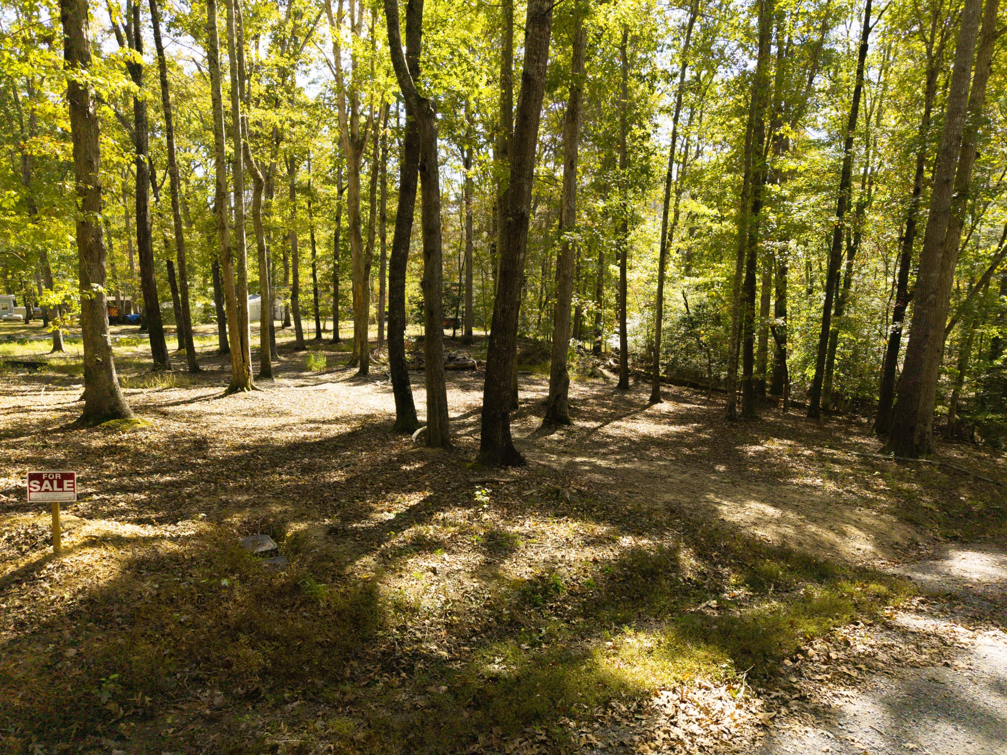 484 Apollo Drive Spring City, TN 37381 - Photo 4 of 18 a view of outdoor space with street view