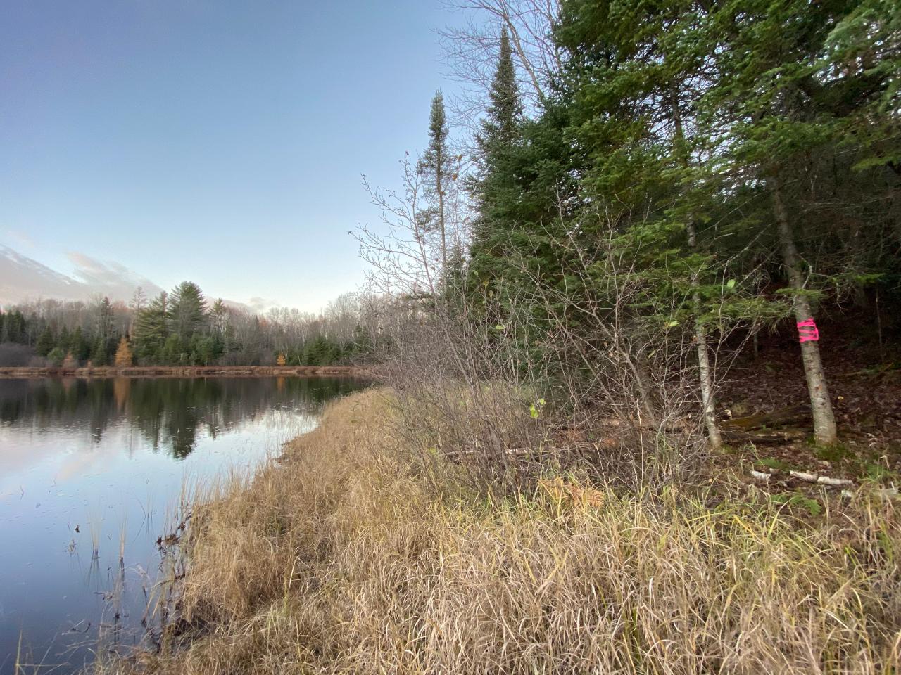 Lot 13 State Line Lake Road East Marenisco, MI 49947 - Photo 2 of 21 Gallery Image 2
