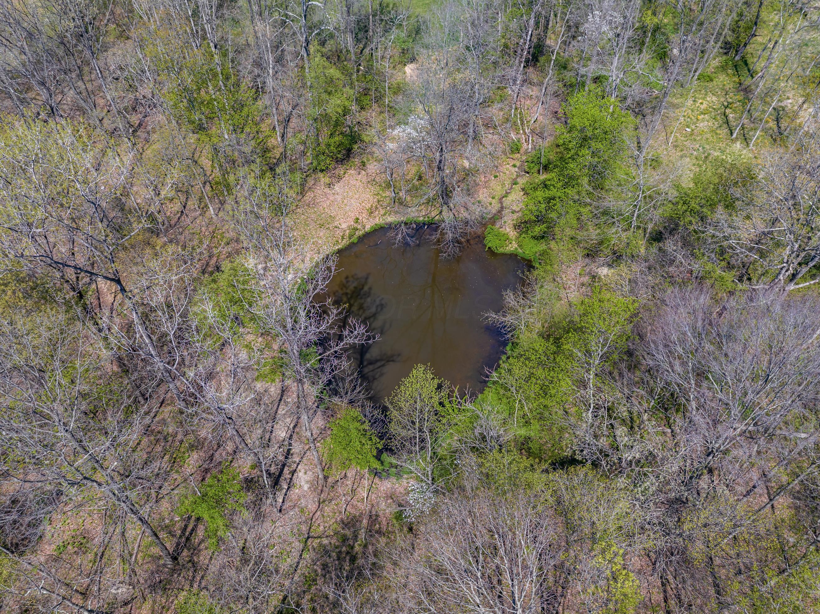 0 Bagley Rd Mount Mount Perry, OH 43760 - Photo 14 of 18 Bagley Rd.13.67-14