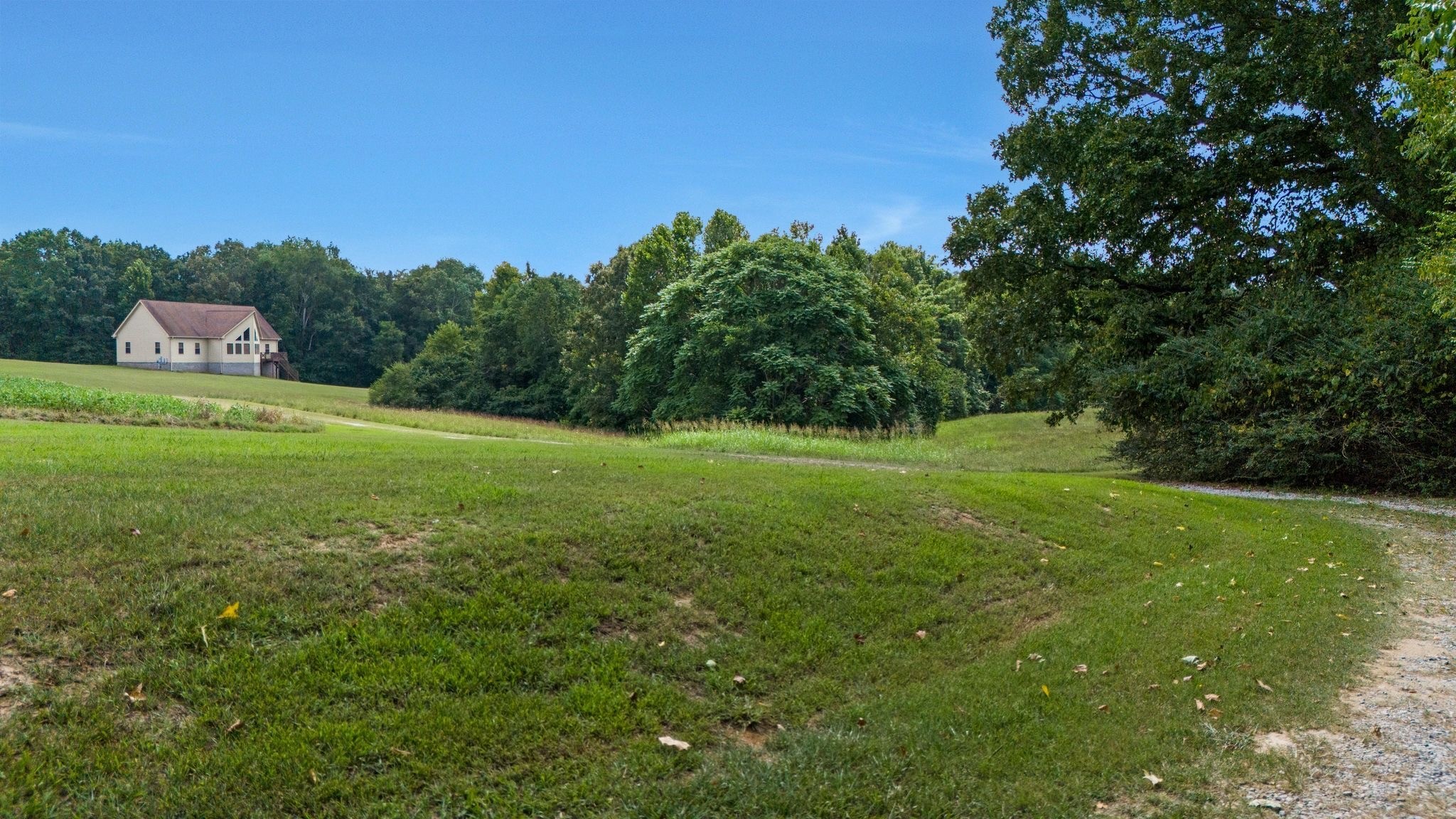 4664 New Cut Road Greenbrier, TN 37073 - Photo 41 of 87 a view of a grassy field with trees in the background
