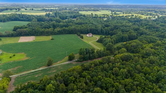 a view of a park with large trees