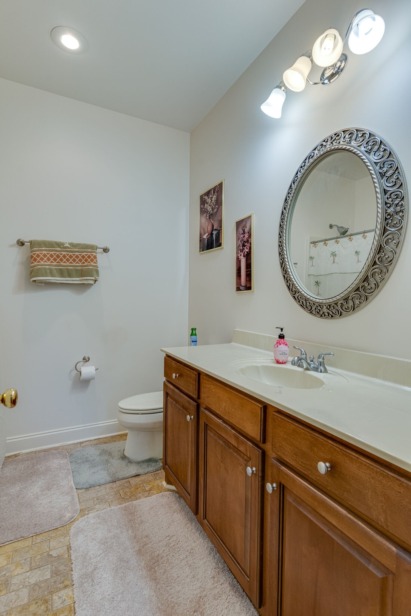 4664 New Cut Road Greenbrier, TN 37073 - Photo 53 of 87 a bathroom with a toilet sink mirror vanity and vanity