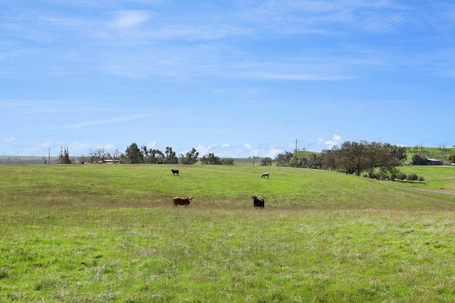 11750 North Wimer Road Linden, CA 95236 - Photo 13 of 70 Gallery Image 13