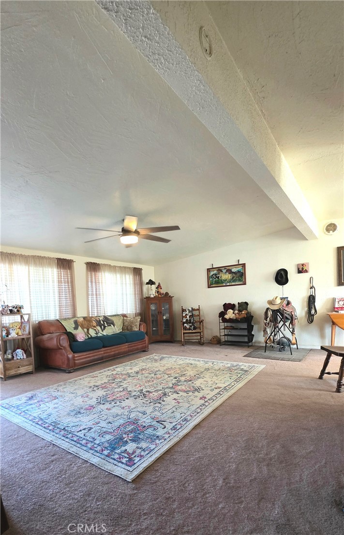 47527 Silver Valley Road Newberry Springs, CA 92365 - Photo 11 of 70