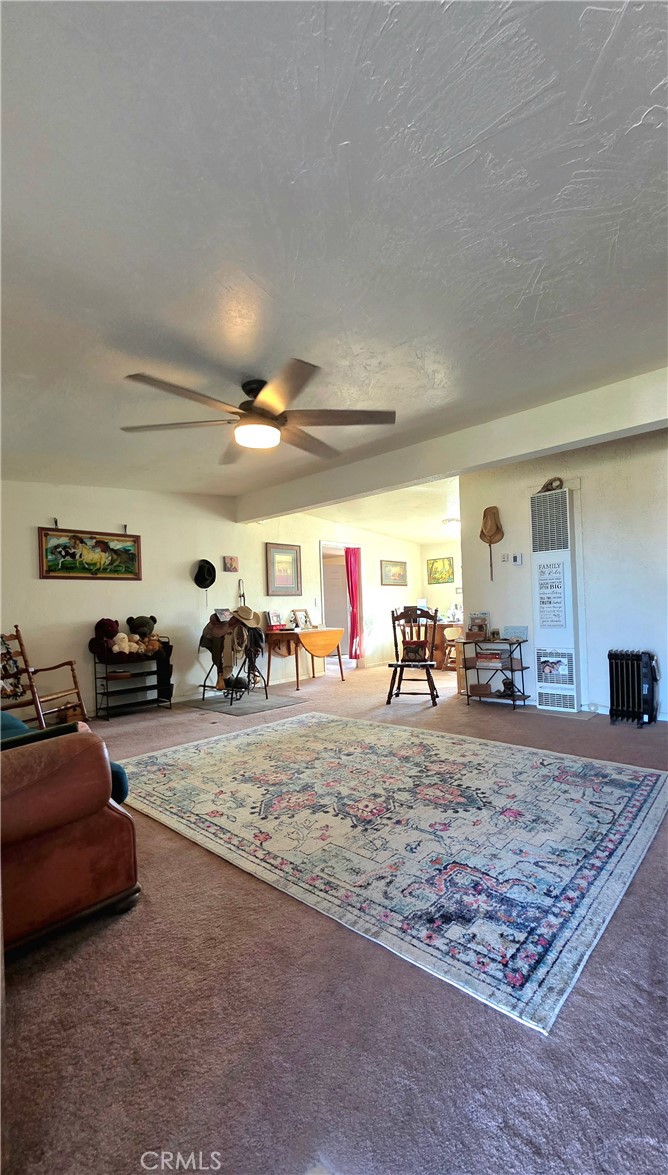 47527 Silver Valley Road Newberry Springs, CA 92365 - Photo 9 of 70