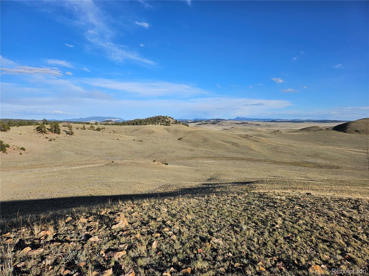 24142 Antero Road Hartsel, CO 80449 - Photo 39 of 48