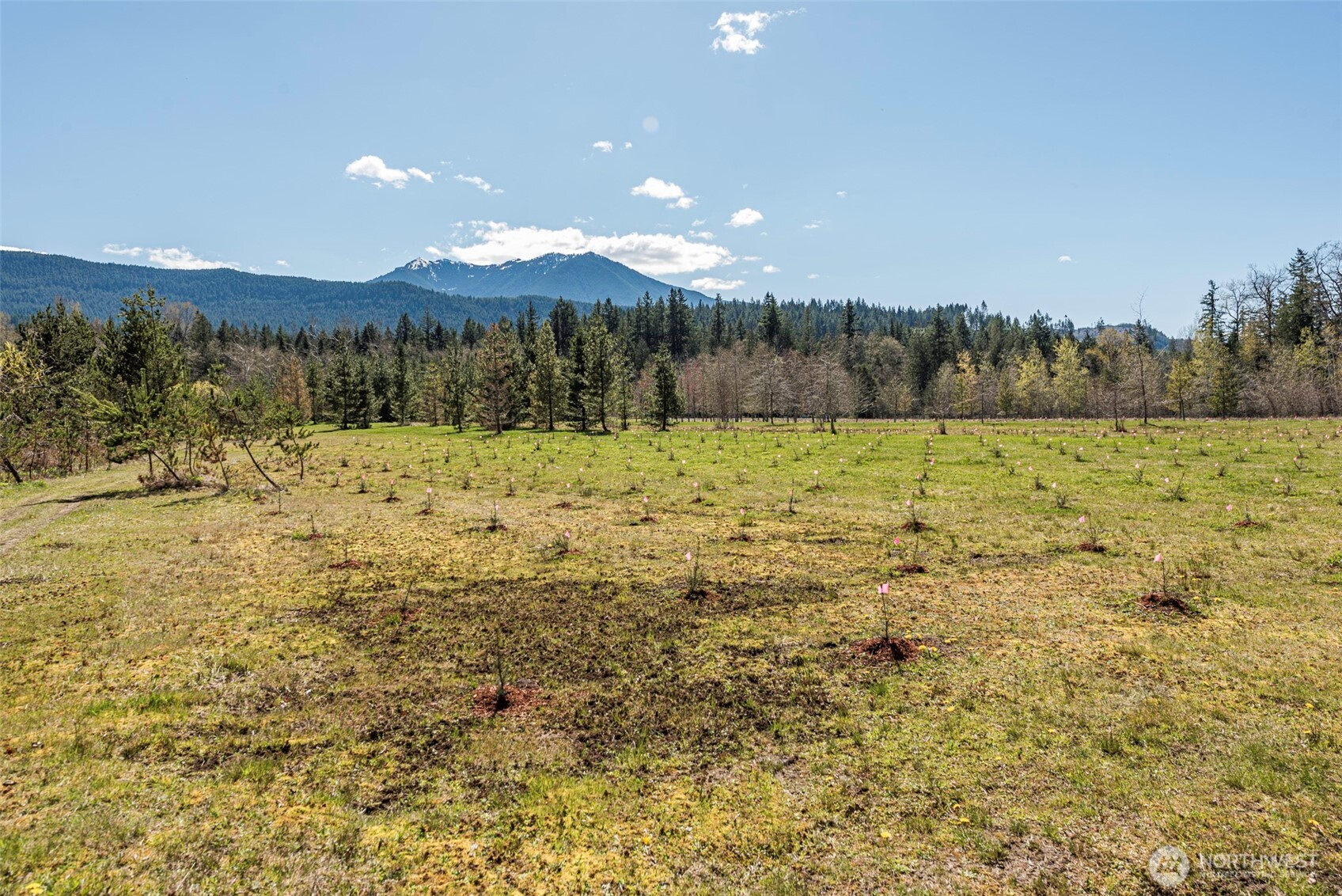 4890 Lost Mountain Road Sequim, WA 98382 - Photo 28 of 40 Gallery Image 28