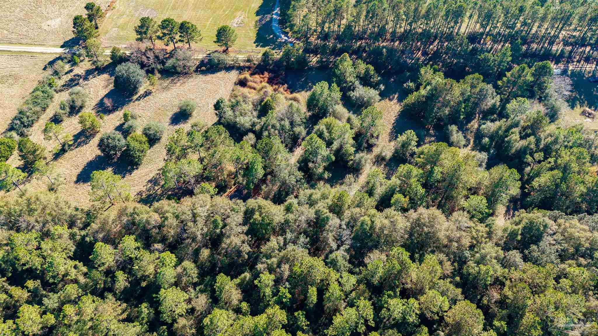1756 Jacks Branch Road Cantonment, FL 32533 - Photo 11 of 29 a view of a house with a lush green forest