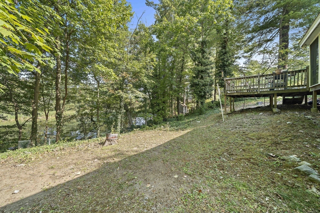 8 Elginwood Road Peabody, MA 01960 - Photo 20 of 25 a view of a forest with trees