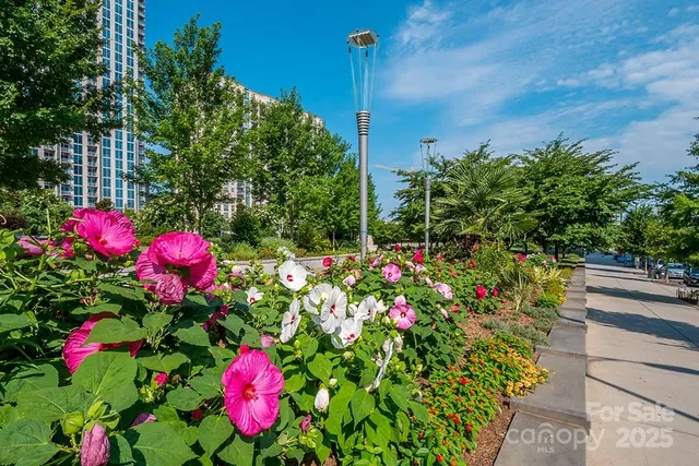 a view of a pathway along a building