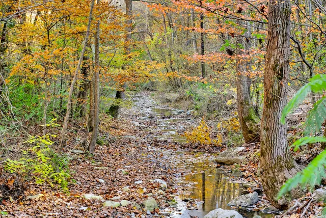 an aerial view of house with yard and mountain view in back