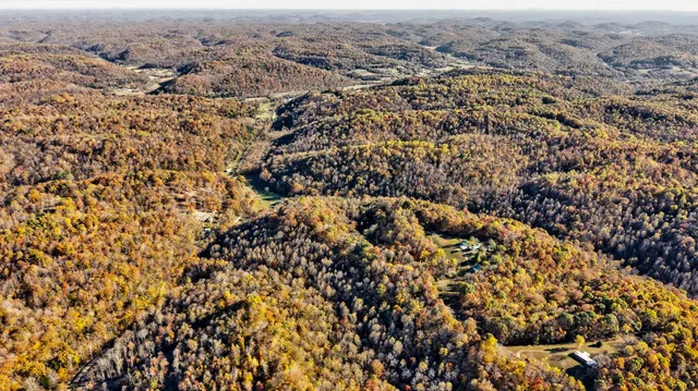 a view of backyard with large trees
