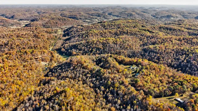 a view of a yard with trees