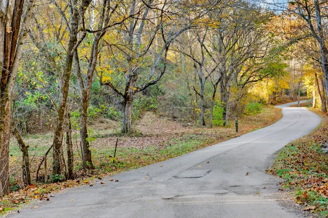 a view of yard with green space