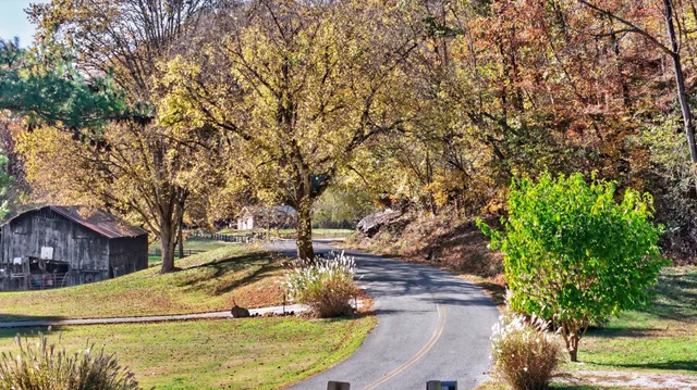 a view of a yard with swimming pool