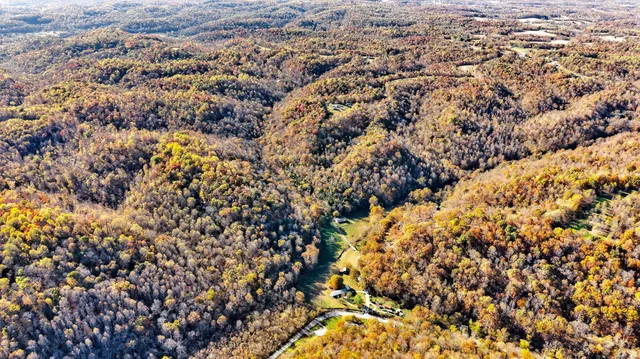 an aerial view of house with yard and mountain in the background