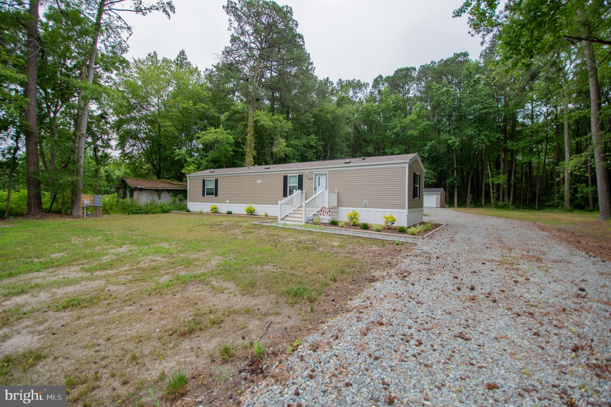 a view of a backyard with large trees