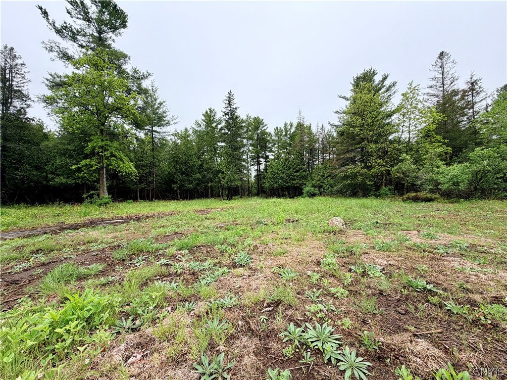 8 County Rte Cape Cape Vincent, NY 13618 - Photo 4 of 13