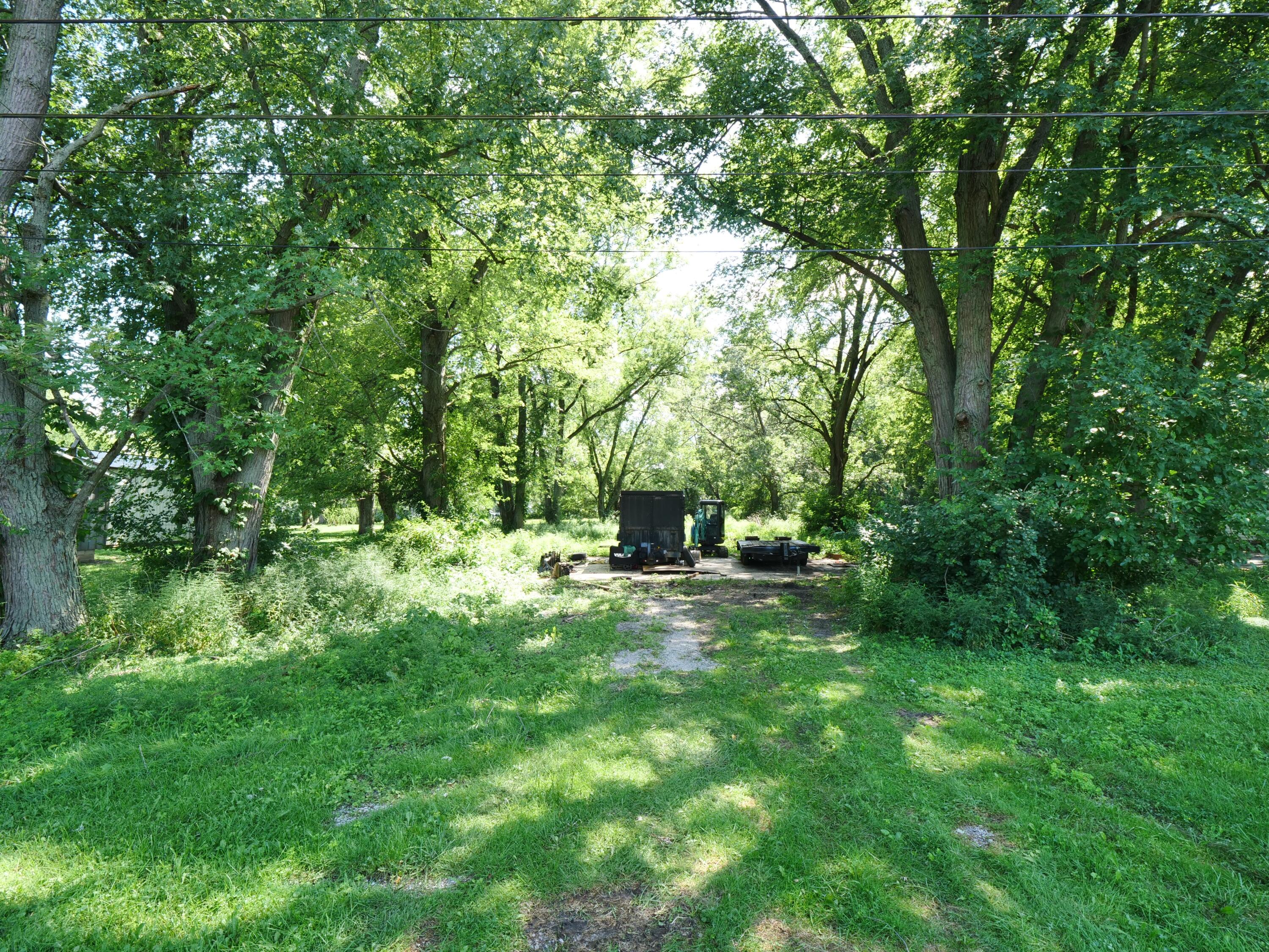 a view of a backyard with large trees