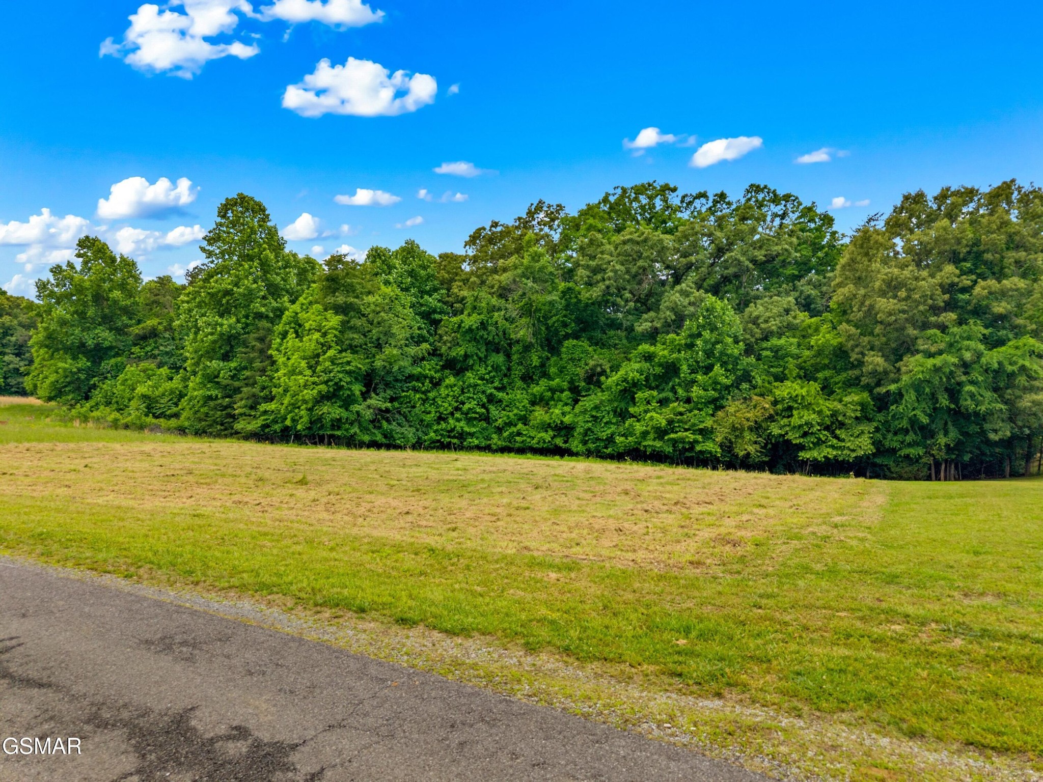 55 Covington Road Dandridge, TN 37725 - Photo 5 of 16 Gallery Image 5