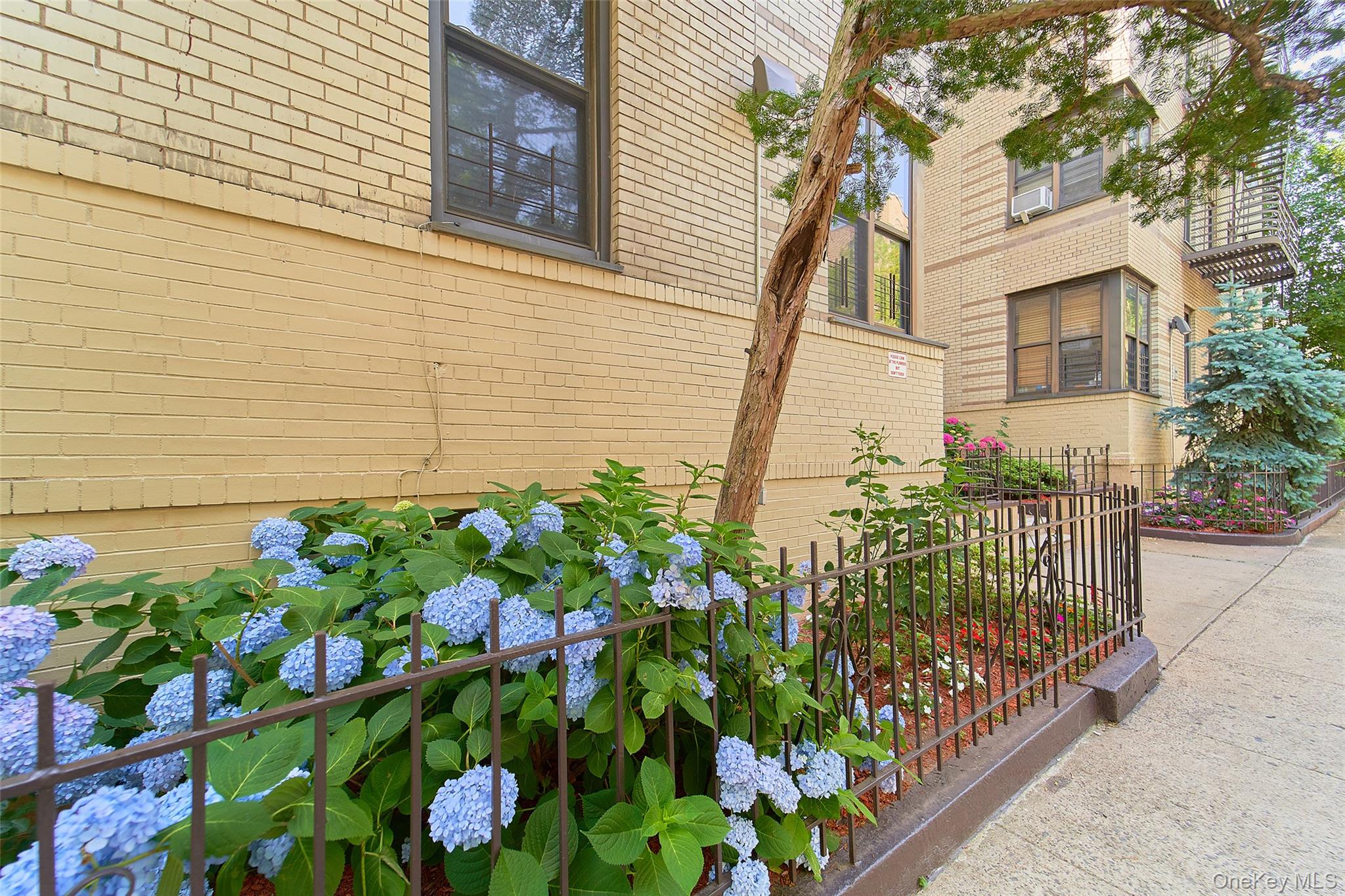2962 Decatur Avenue, Unit 4D Bronx, NY 10458 - Photo 2 of 21 a street view with garden and flowers