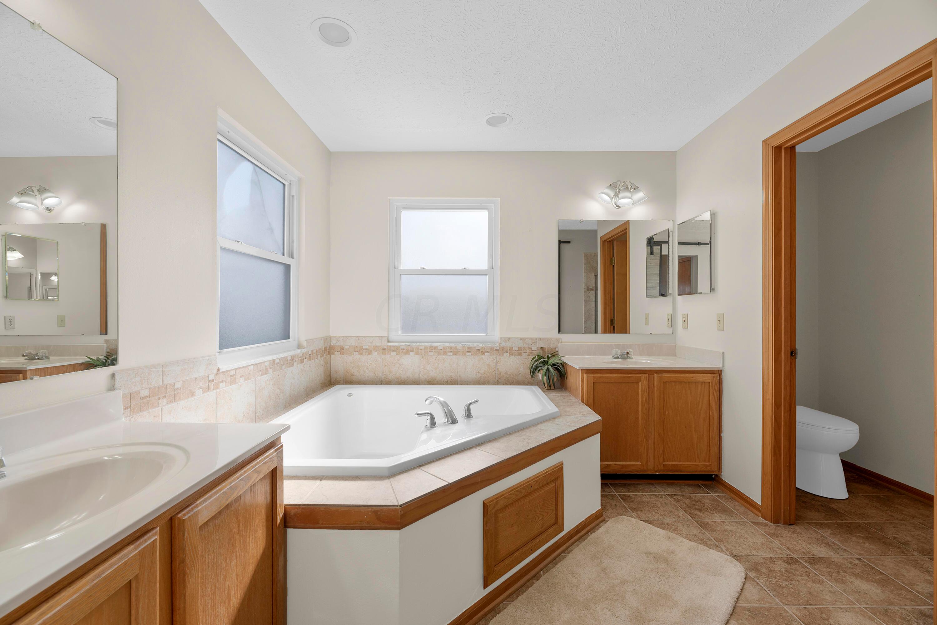 668 Crofton Loop Delaware, OH 43015 - Photo 17 of 32 owner's bath