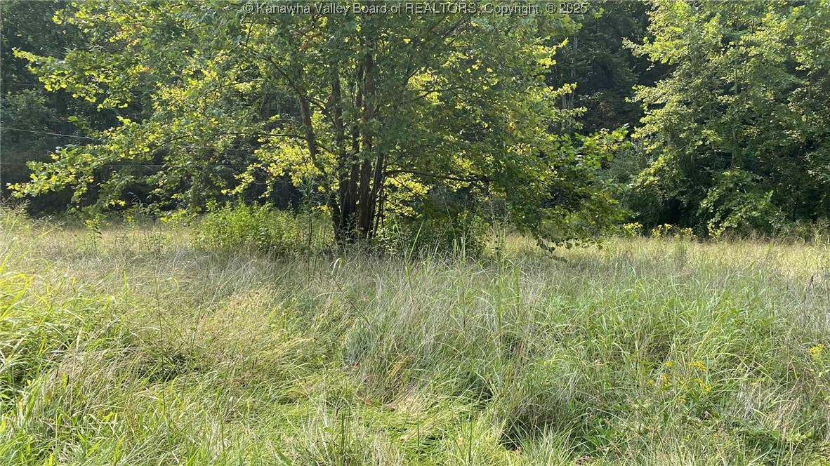0 Parsoner Creek Road Griffithsville, WV 25521 - Photo 11 of 27 Gallery Image 11