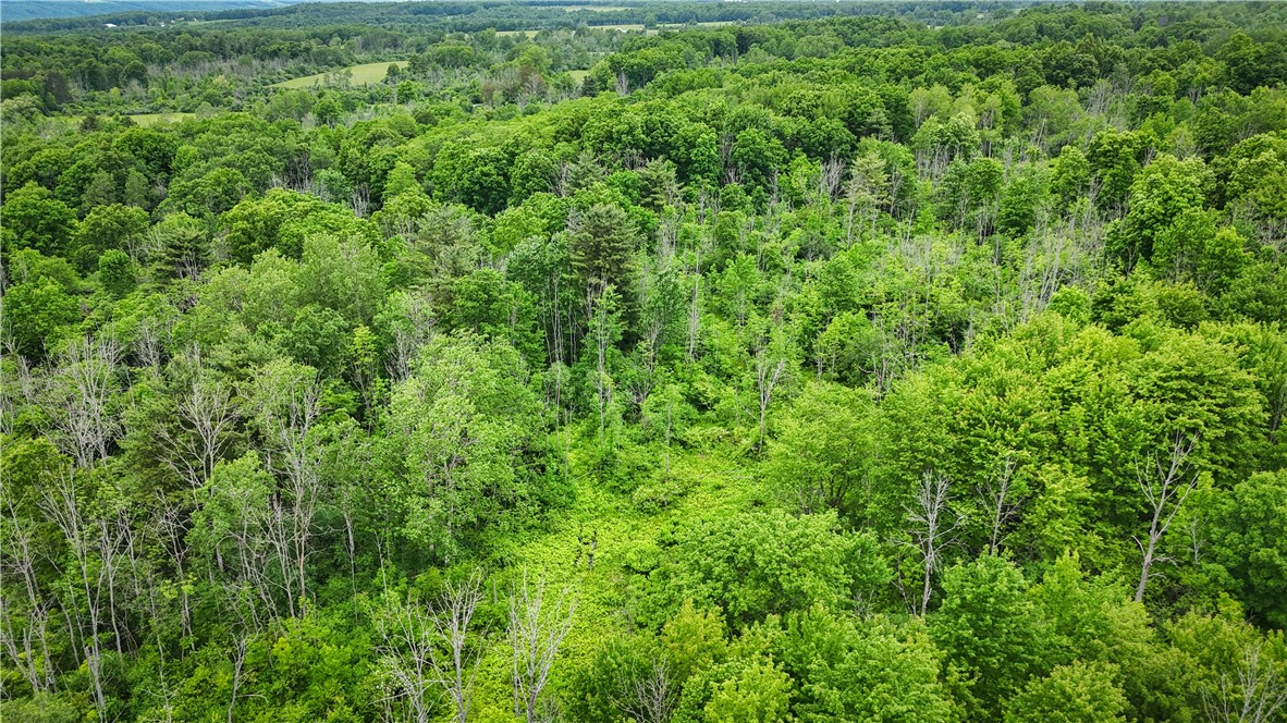 5401 Old Bath Road Barrington, NY 14837 - Photo 29 of 50