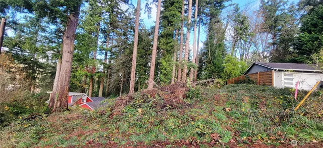 a view of a back yard