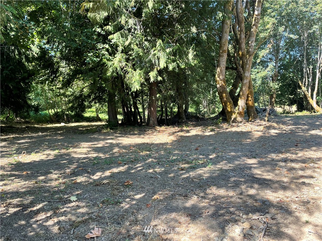 119 Newell Road Castle Rock, WA 98611 - Photo 1 of 16 Gallery Image 1