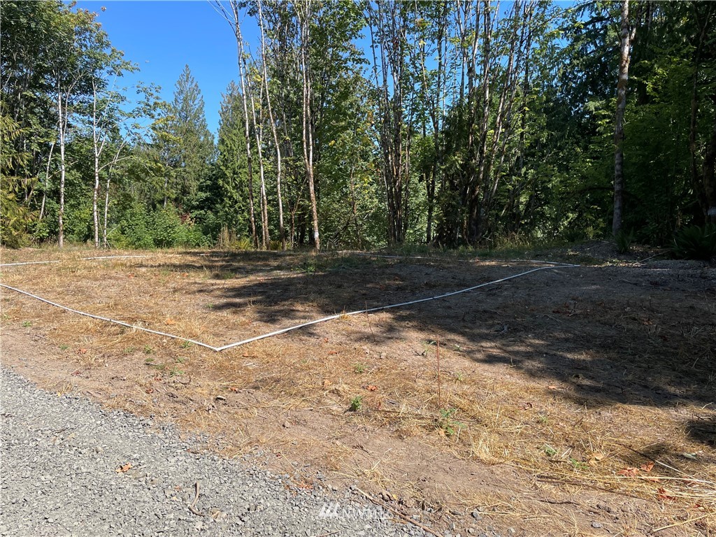 119 Newell Road Castle Rock, WA 98611 - Photo 2 of 16 Gallery Image 2