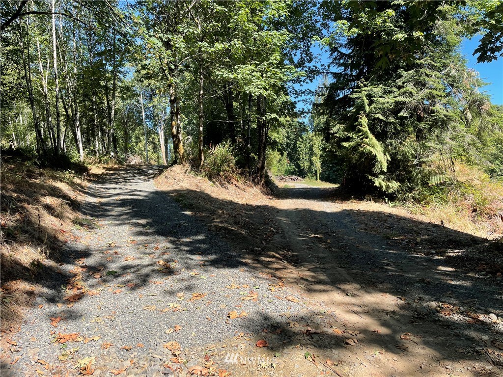 119 Newell Road Castle Rock, WA 98611 - Photo 11 of 16 Gallery Image 11