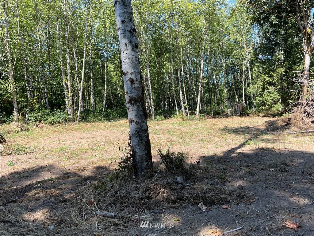119 Newell Road Castle Rock, WA 98611 - Photo 12 of 16 Gallery Image 12