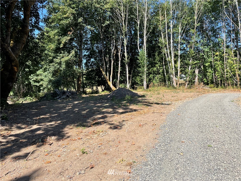119 Newell Road Castle Rock, WA 98611 - Photo 16 of 16 Gallery Image 16