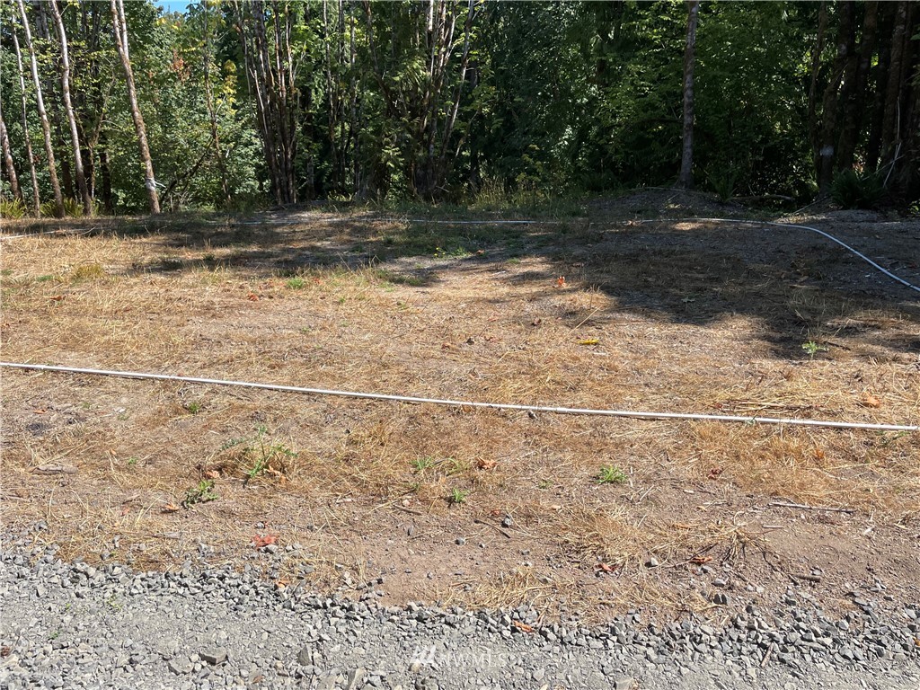 119 Newell Road Castle Rock, WA 98611 - Photo 3 of 16 Gallery Image 3