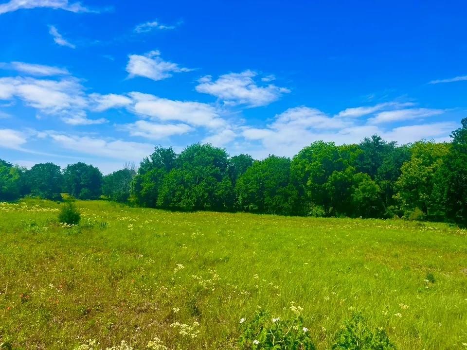 Lot 100 Arlow Road Poolville, TX 76487 - Photo 2 of 3 View of nature featuring a rural view