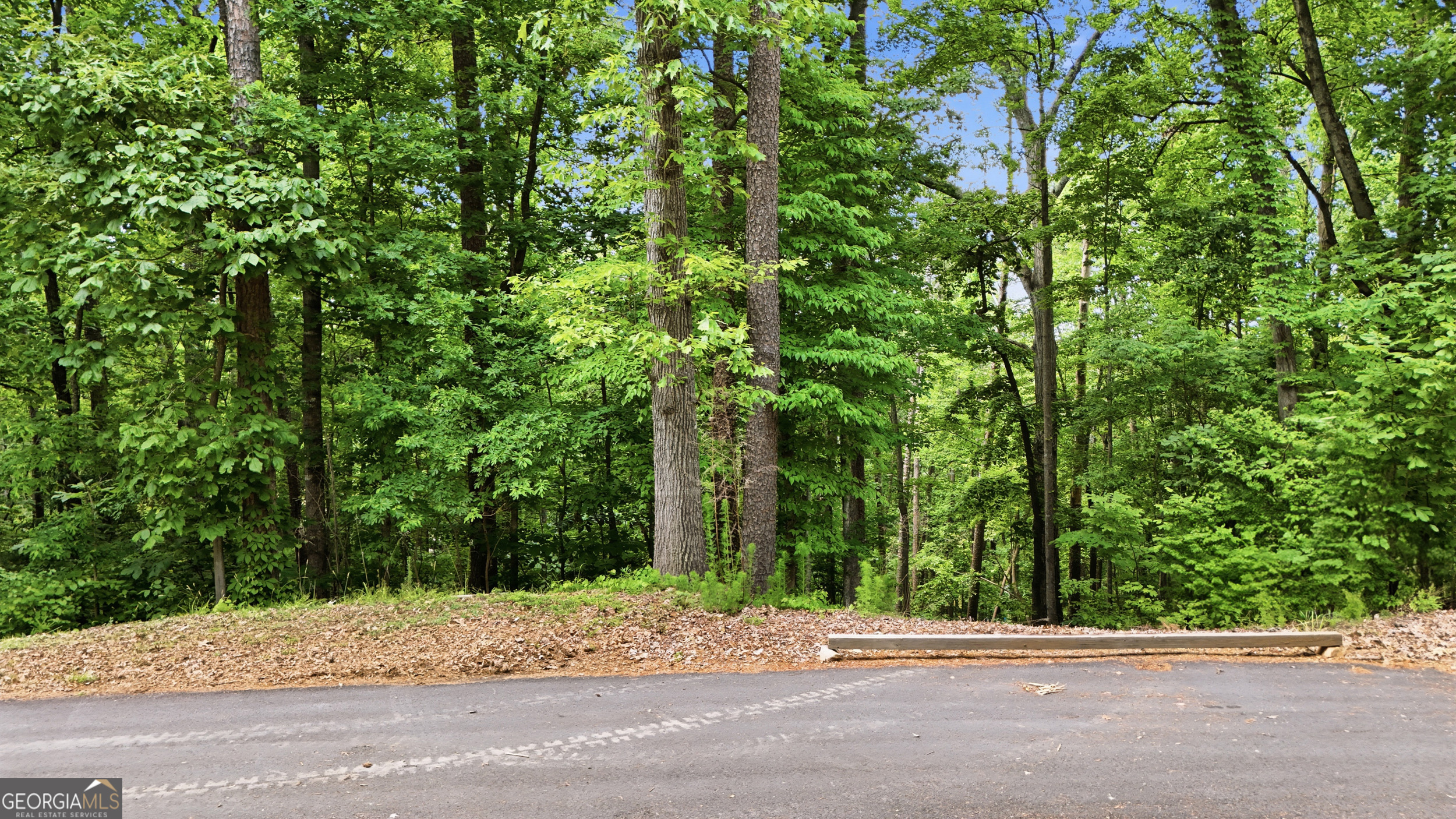 237 Waters Edge Court Martin, GA 30557 - Photo 11 of 33